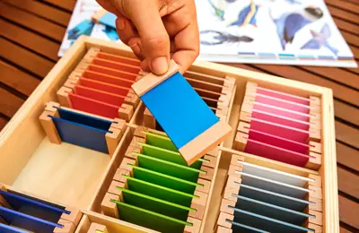 Children engaged in Montessori learning at Forest Grove Pre-School - photo 19